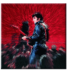 ELVIS PRESLEY - SHINE